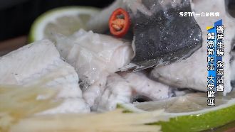 肥美鰻魚留台　實惠蒲燒鰻內銷暴8倍