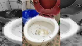 共用,馬桶,螞蟻,糖尿病,室友,網友（圖／翻攝爆廢公社二館） 