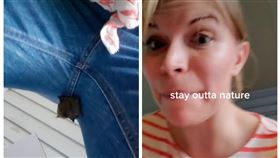 蝙蝠,美國,抖音,胯下