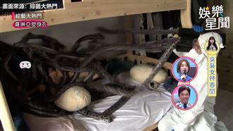 咪妃熟睡遭惡整　家中突竄出蛇她崩潰