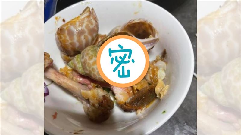 烤肉買到鳳螺驚見這隻　網狂讚：賺到
