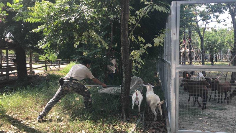 模擬地震動物逃脫　頑皮世界演練逼真
