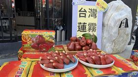 部分蓮霧外銷受阻  高市府媒合認購助解困境蓮霧盛產季還沒到，高雄市政府22日搶先啟動鼓勵民眾與企業團購蓮霧，媒合業者認購蓮霧，盼助解決短期間部分蓮霧外銷受阻的燃眉之急。（高雄市政府提供）中央社記者洪學廣傳真  110年9月22日