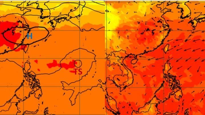 新颱電母最快明生成！大迴轉路徑曝光