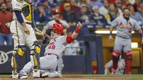 ▲高飛犧牲打，紅雀二、三壘跑者都得分。（圖／美聯社／達志影像）