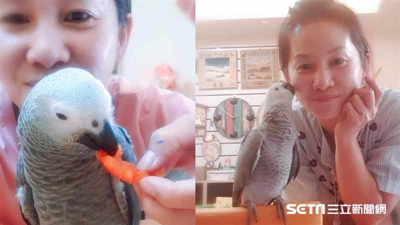 相依為命兒器捐救人　鸚鵡代替他叫媽