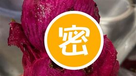 火龍果,好市多,幼蟲（圖／翻攝自臉書《Costco好市多 商品經驗老實說》）