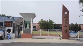 圖／翻攝自大河報