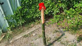 靈異公社／驚見戶外「竹筒插地寫符！」神秘功能曝光…網：押煞用的。（圖／翻攝自靈異公社臉書）