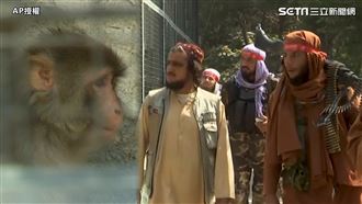 拼溫暖形象　塔利班戰士帶槍逛動物園