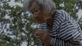 《綠色牢籠》。（圖／希望行銷提供）