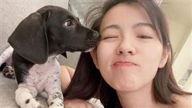 米可白養寵物後都經常宅在家。（圖／翻攝自米可白IG）