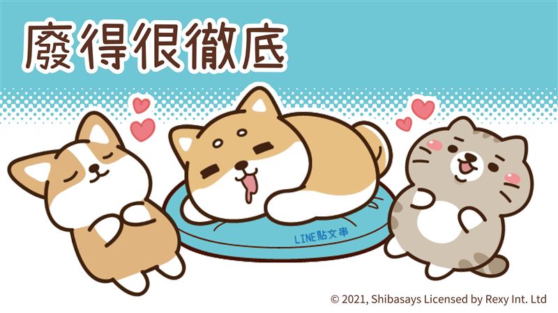 讓你也想一起廢到不行的人氣貼圖！