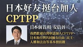 一張圖看安倍與12日本政要挺台加入CPTPP（圖／翻攝自民主進步黨臉書）