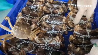 貪便宜當心踩雷　3招拆穿「走私蟹」