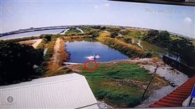 ▲台南一名3歲男童(紅圈處)1個人獨自跑向自家後方的魚塭，結果摔落魚塭溺斃。（圖／翻攝畫面）