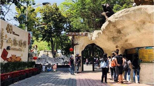 高雄壽山動物園3大新亮點空中長廊近距離欣賞可愛動物 名家 三立新聞網setn Com