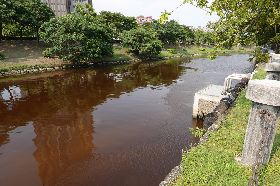 藻類增生導致愛河呈紅褐色  環保局：