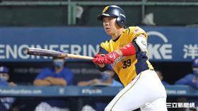 ▲中信兄弟外野手詹子賢5打數5安打。（圖／記者劉彥池攝影）