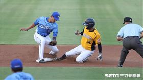 ▲中信兄弟游擊手江坤宇盜上二壘。（圖／記者劉彥池攝影）