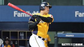 ▲中信兄弟外野手陳子豪。（圖／記者劉彥池攝影）