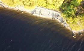 尼斯湖水怪,空拍機,英國蘇格蘭,蛇頸龍,阿茲海默協會,露營,（圖／翻攝自Richard Outdoors YouTube）