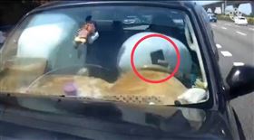 國道一號,林口路段,追撞,手機,安全氣囊,道路安全,（圖／翻攝畫面）