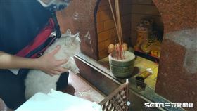 臺中復興宮授權提供