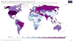 過去一周全球疫情 圖／翻攝自Our World in Data