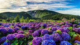 ▲臺北大縱走第二段的「縱走之戀」活動將結合在地產業來場別於平地的聯誼活動。（圖／主辦單位提供）