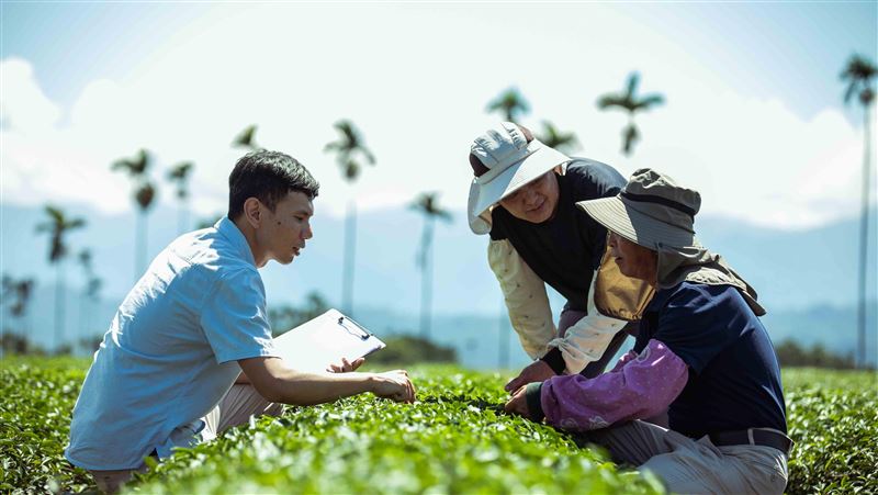 職人永不妥協精神　茶裏王連4年獲獎