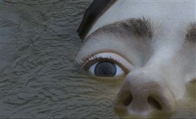 觀賞少女溺水卻無人救　背後原因惹淚(圖/翻攝自BBK基金會)