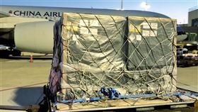 首批客製化標籤BNT疫苗抵台  檢驗封緘後分配各縣市中央流行疫情指揮中心指揮官陳時中29日表示，這次到貨時程確實比預估更晚一些，他承諾，疫苗到貨完成檢驗封緘後，將盡快分配各縣市，讓每批疫苗發揮最大效益。中央社記者吳睿騏桃園機場攝  110年9月30日