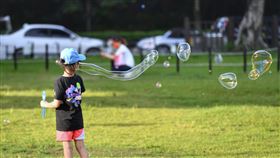 疫情警戒降級在即　小朋友戶外玩耍（1）全台COVID-19（2019冠狀病毒疾病）疫情警戒7月27日到8月9日降為2級，將適度開放戶外活動等，但須全程戴口罩。25日有小朋友在台北市大湖公園玩泡泡。中央社記者王飛華攝  110年7月25日