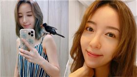 五熊。（圖／翻攝自五熊IG）