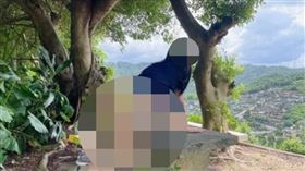 新北,Dcard,西斯版,女網友,繩子（圖／翻攝Dcard）