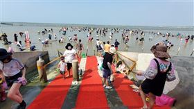 ▲ 「2021臺南七股海鮮節-觀光赤嘴園挖文蛤體驗活動」在七股六孔碼頭盛大開幕，不僅有挖文蛤活動，還有健走及寫生活動。（圖／翻攝臺南市七股區公所臉書）