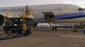 又到貨！第3批BNT客製化標籤20萬劑　清晨抵台（圖／翻攝畫面）