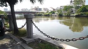 吉娃娃跌落愛河險滅頂！飼主英勇跳水救