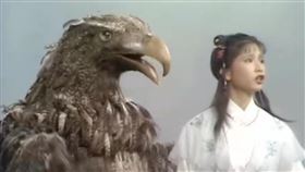 神鵰俠侶裡面的大鵰（圖／翻攝自百度百科）