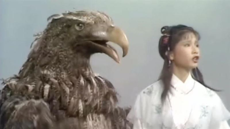 楊過的大鵰去哪裡了？結局只剩一個