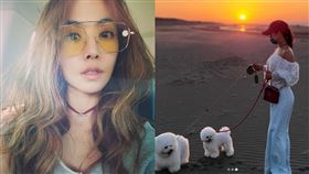 蔡依林和愛犬在沙灘上散步，畫面超級唯美。（圖／翻攝自蔡依林IG）