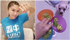 又在舔！劉樂妍狂買中國水果驚「好便宜」：當大陸狗很幸福（圖／翻攝自劉樂妍微博）