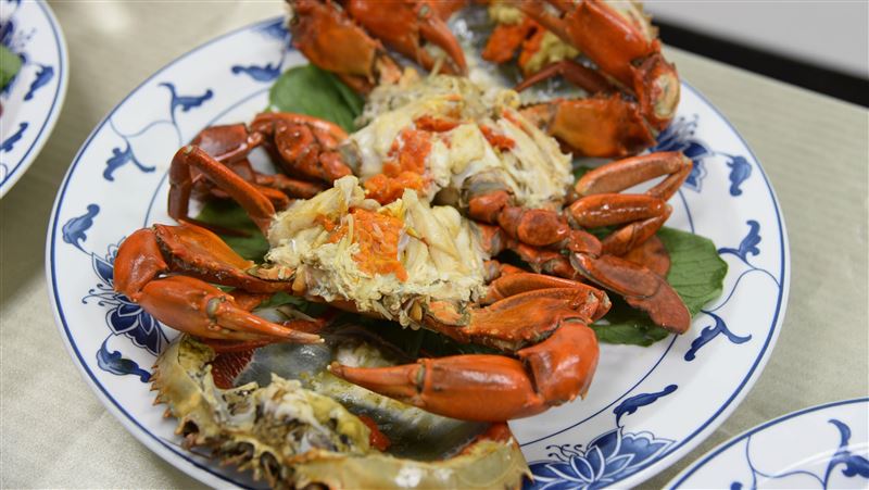 突破養殖技術　未來紅蟳自給還能外銷