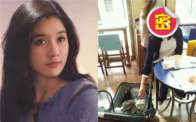 倒追成龍被封殺？她美過林青霞嫁富商