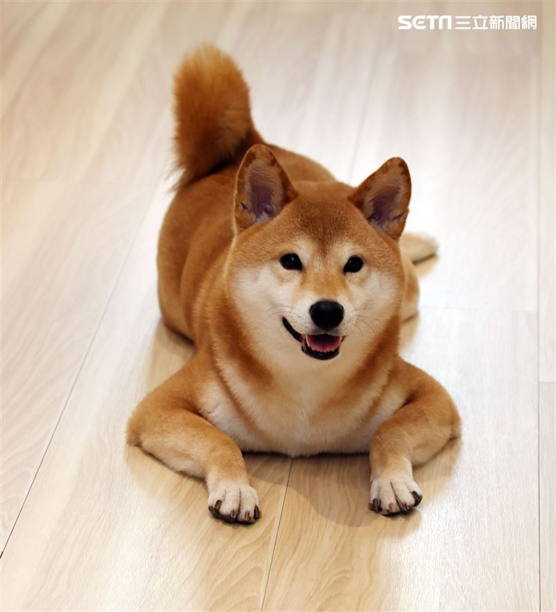 視網膜三立新聞網專訪。（記者邱榮吉/攝影）