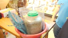 蜂蜈蚣入神1230.