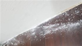 痱子粉,螞蟻,用途,實用 https://www.facebook.com/groups/2457165584551249/posts/3074102136190921/