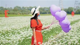 圖／台灣旅行趣
