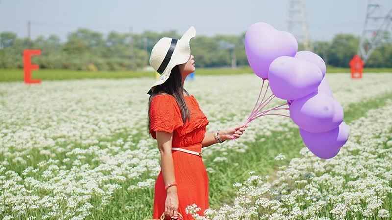 彰化埤頭白雪秘境！韭菜花覆蓋綠田